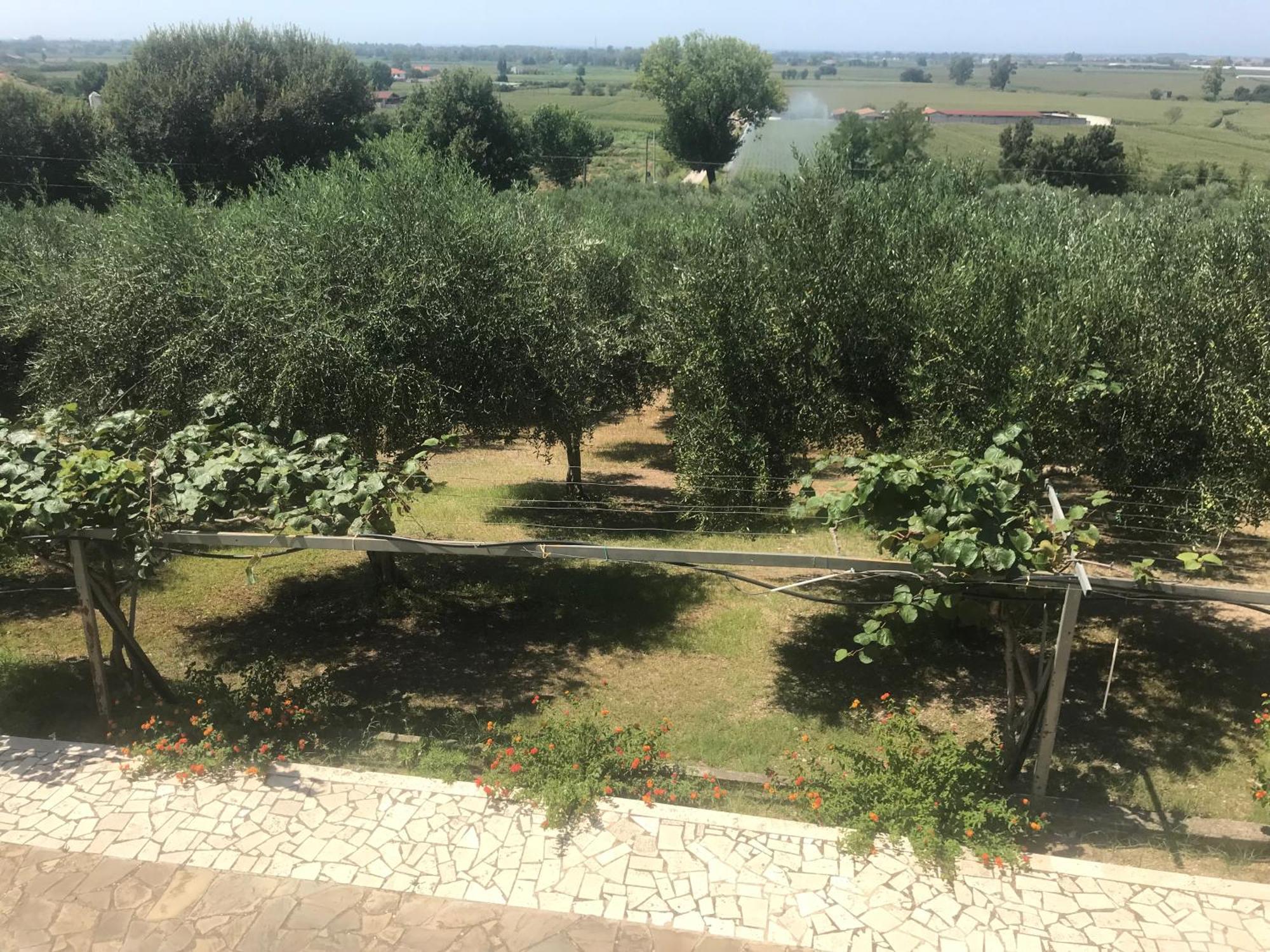 Residenza Giancesare Family Apartments Paestum Exterior photo